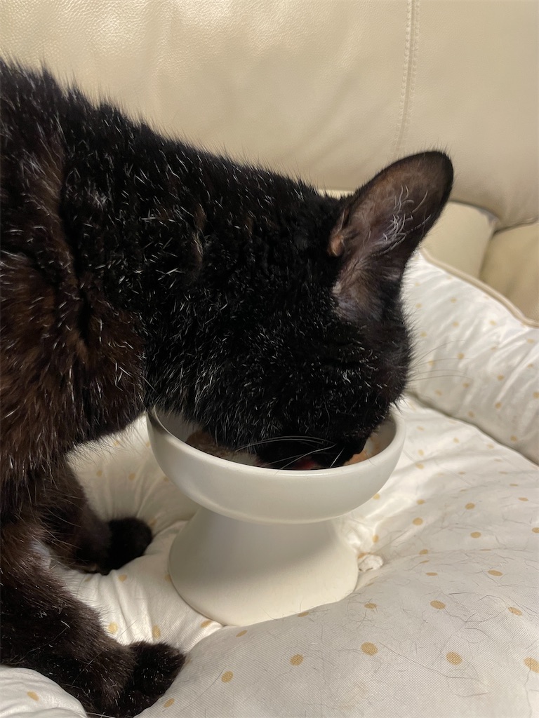 f:id:hiraryo0201:20240721171324j:image f:id:hiraryo0201:20240721171324j:image