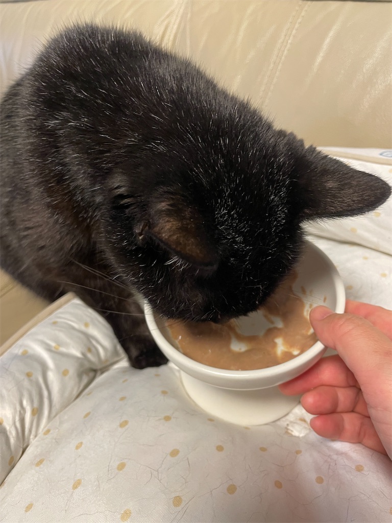 f:id:hiraryo0201:20240721171334j:image f:id:hiraryo0201:20240721171334j:image