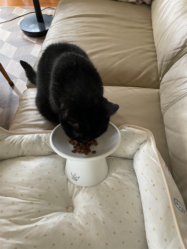 f:id:hiraryo0201:20240721171339j:image f:id:hiraryo0201:20240721171339j:image