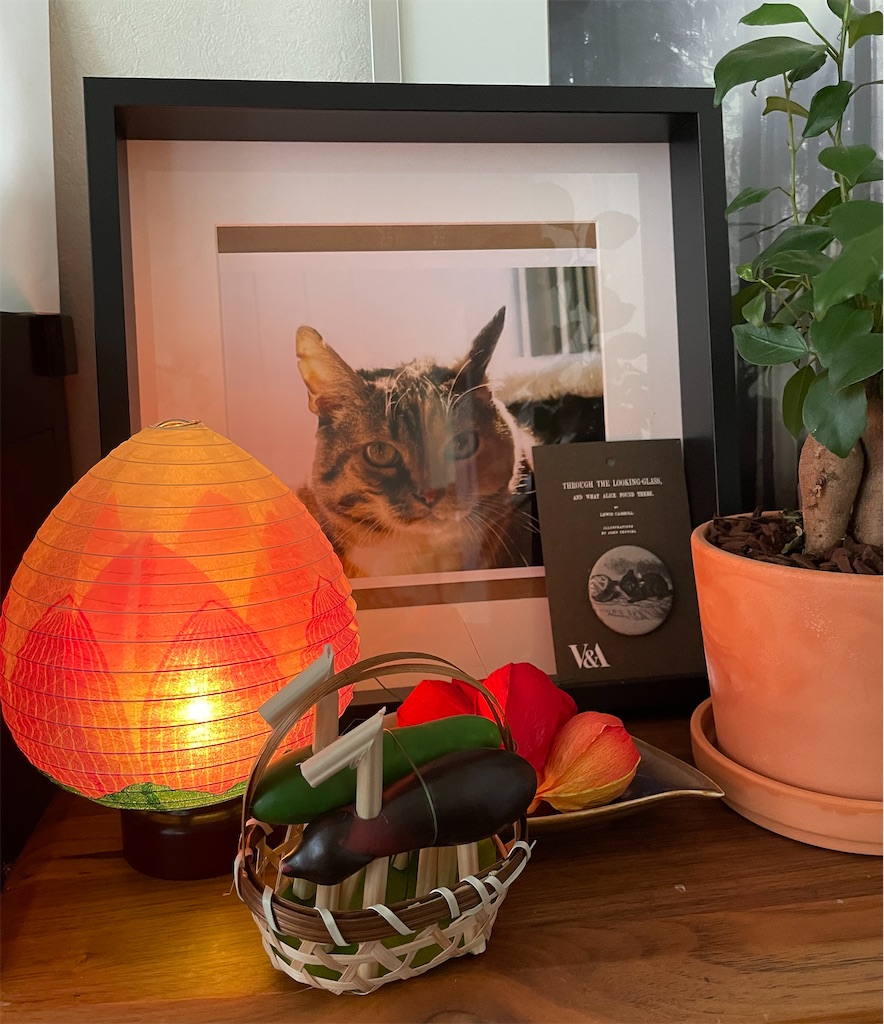 f:id:hiraryo0201:20240811150033j:image