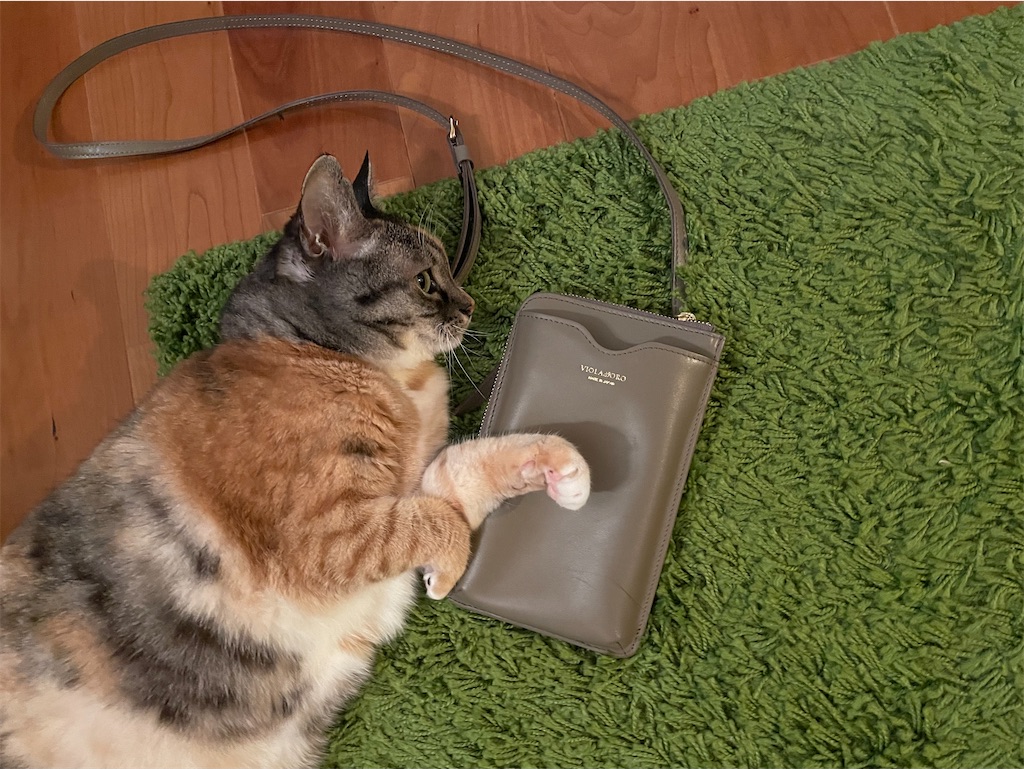 f:id:hiraryo0201:20240812072220j:image