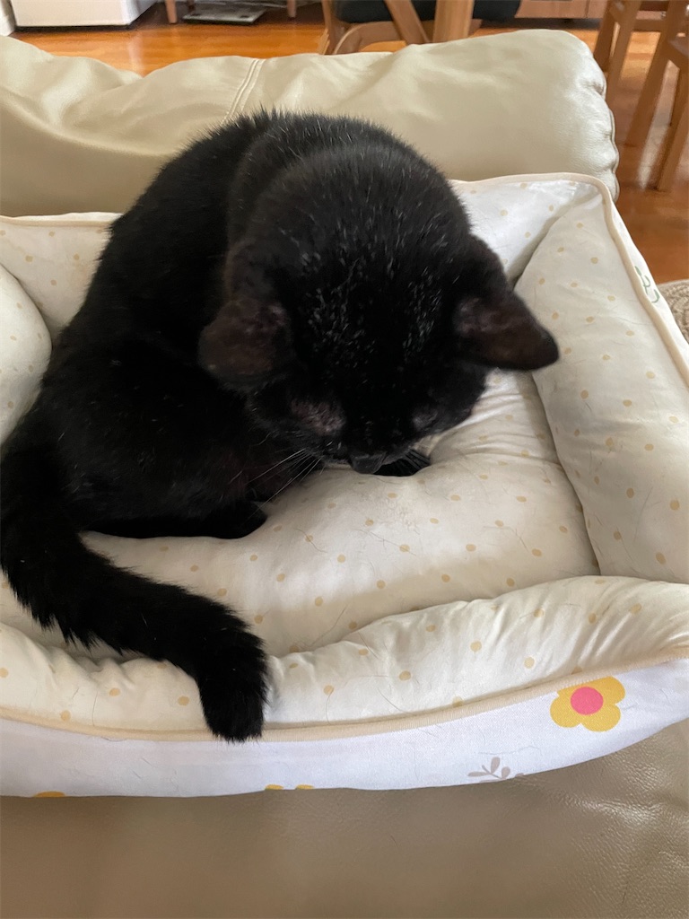 f:id:hiraryo0201:20240917123936j:image