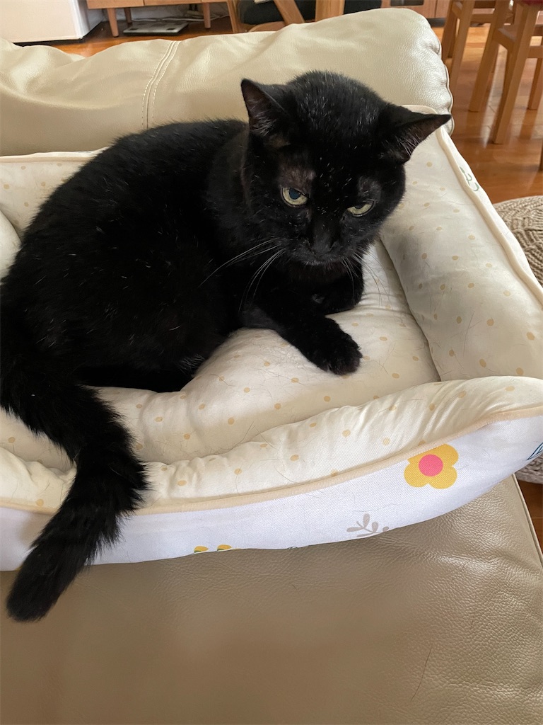 f:id:hiraryo0201:20240917123940j:image