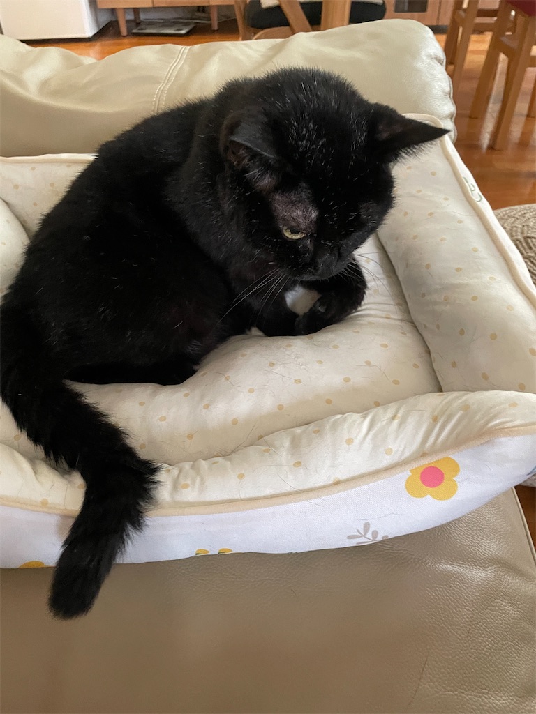 f:id:hiraryo0201:20240917123944j:image