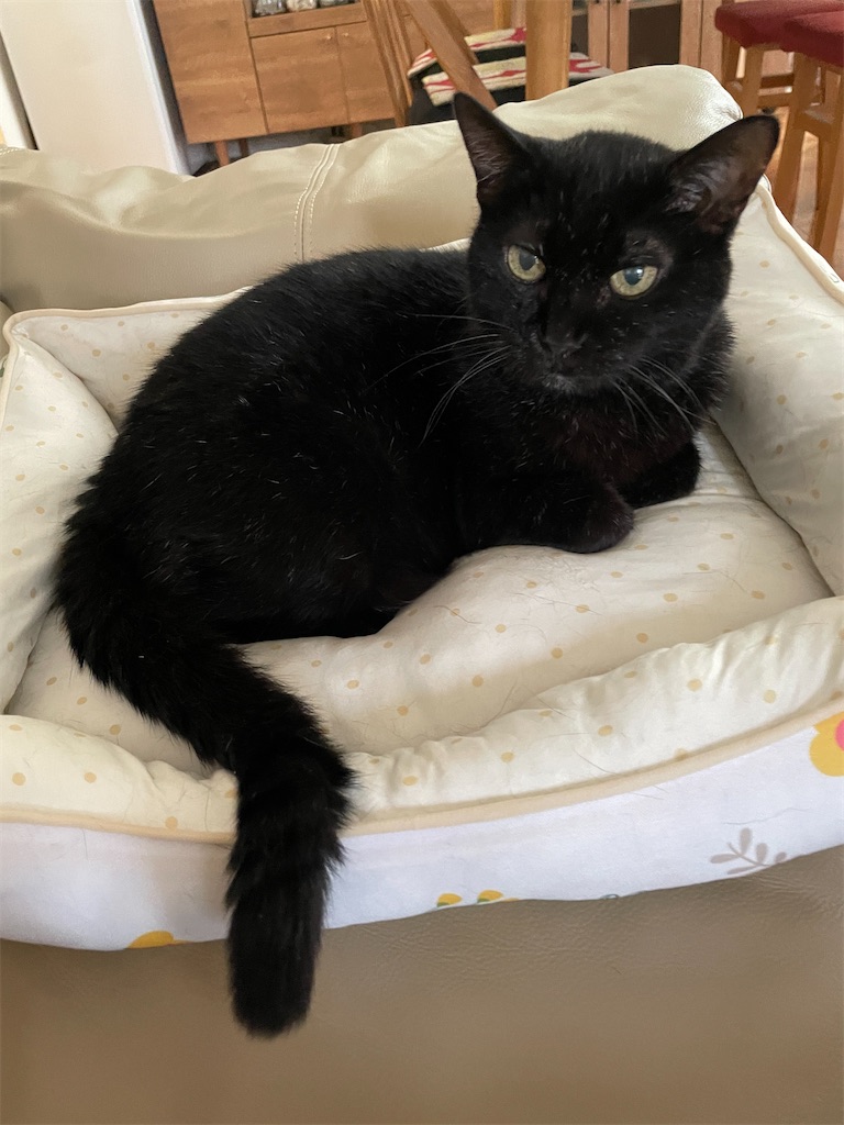 f:id:hiraryo0201:20240917123947j:image