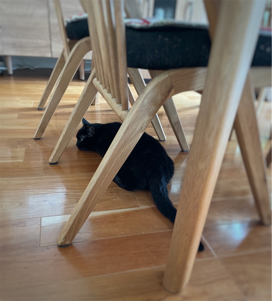 f:id:hiraryo0201:20240921102732j:image