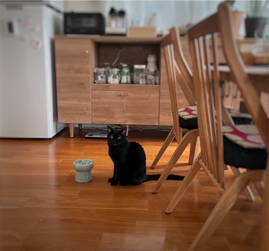 f:id:hiraryo0201:20240921103014j:image