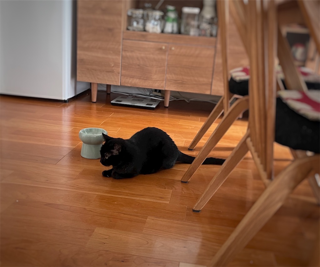 f:id:hiraryo0201:20240921103215j:image