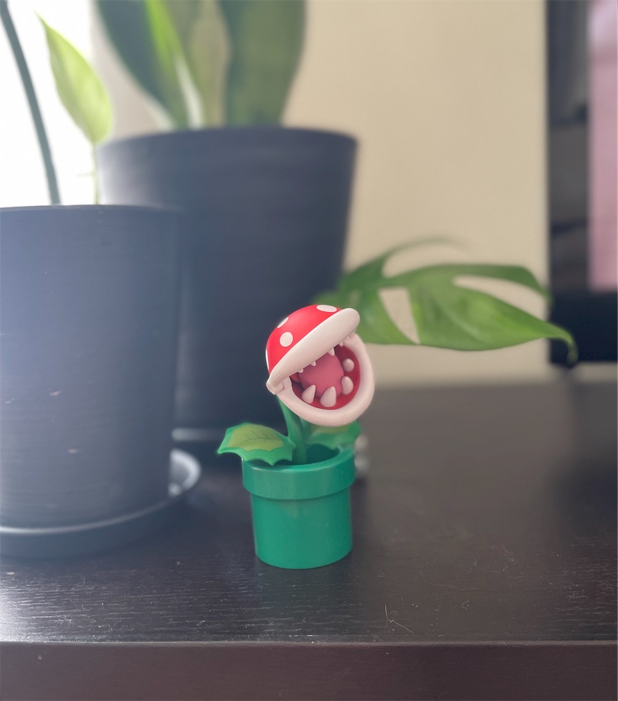 f:id:hiraryo0201:20240921110629j:image