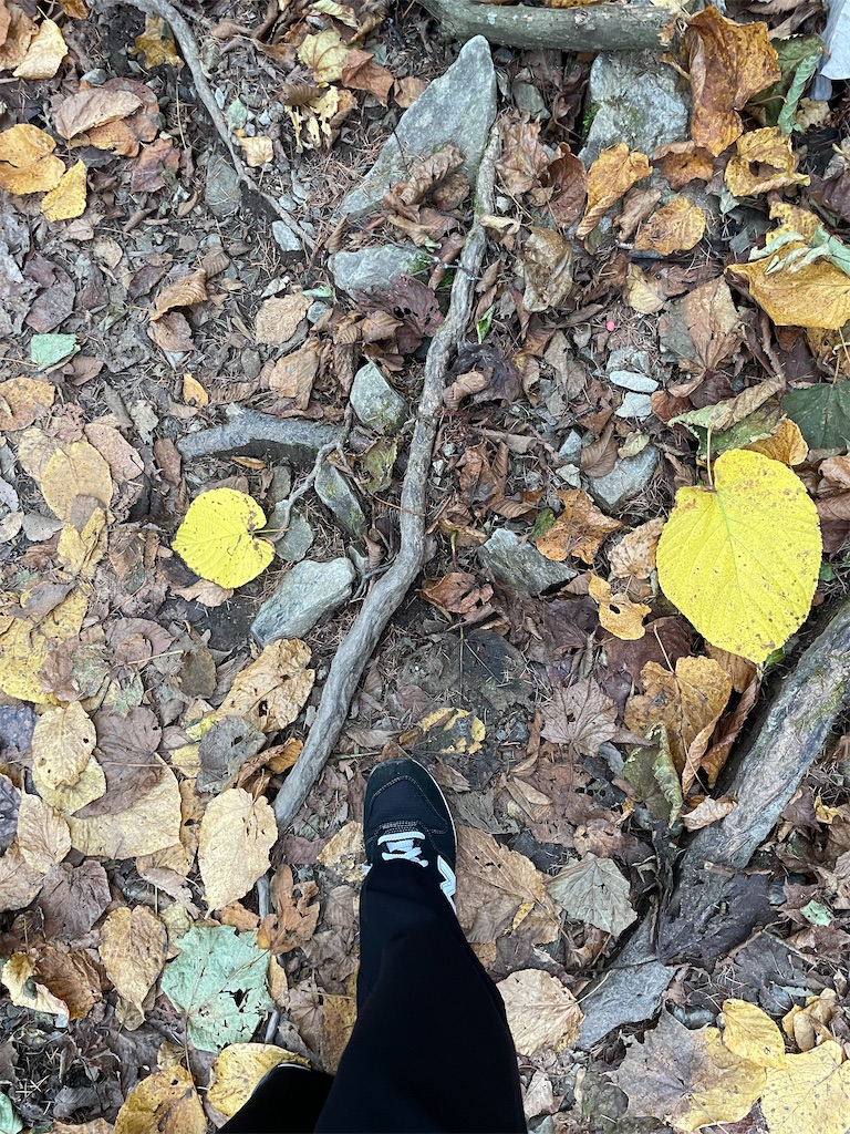 f:id:hiraryo0201:20241102123852j:image