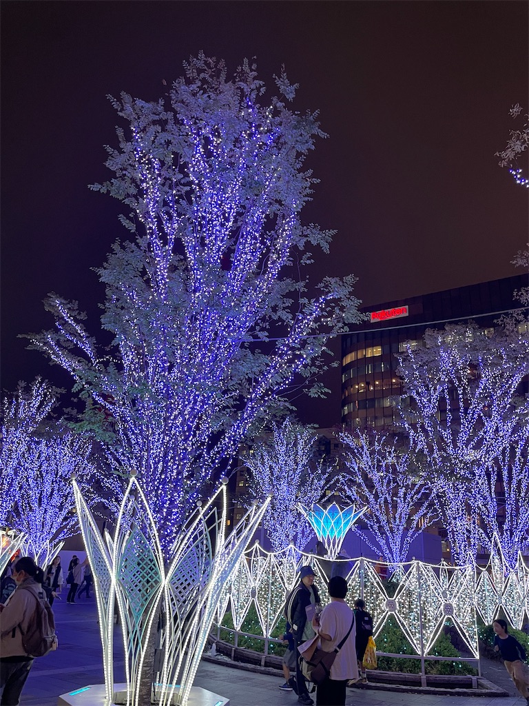 f:id:hiraryo0201:20241116193633j:image f:id:hiraryo0201:20241116193633j:image