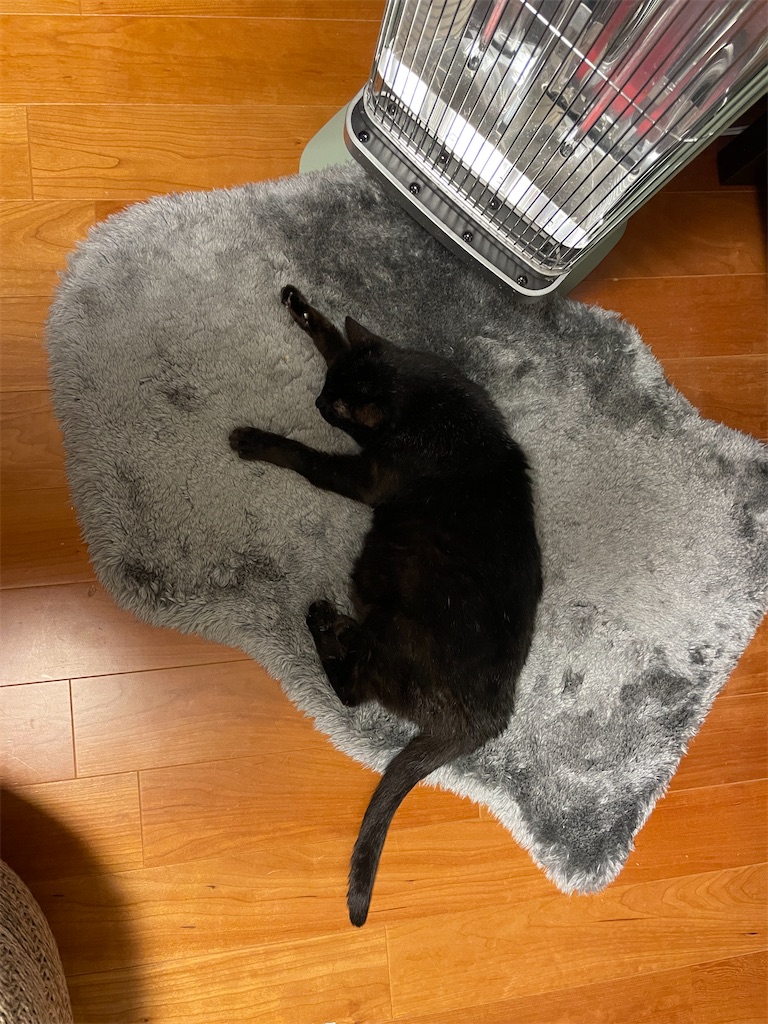 f:id:hiraryo0201:20241124181607j:image f:id:hiraryo0201:20241124181607j:image