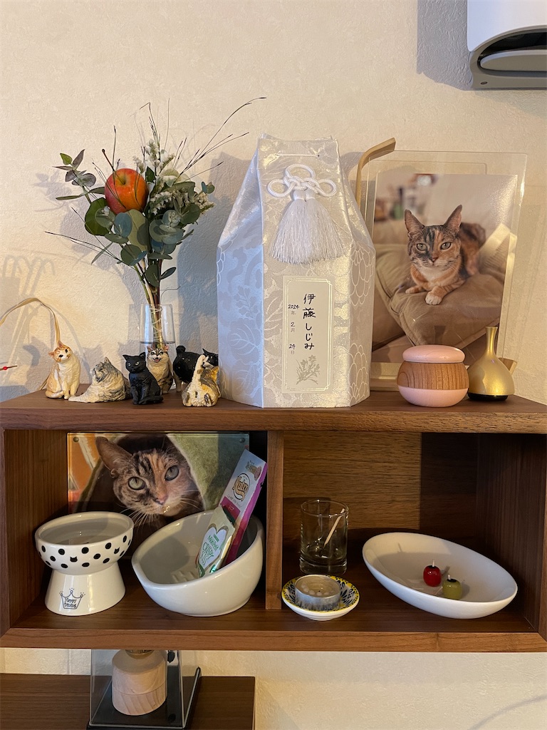 f:id:hiraryo0201:20241124182539j:image f:id:hiraryo0201:20241124182539j:image