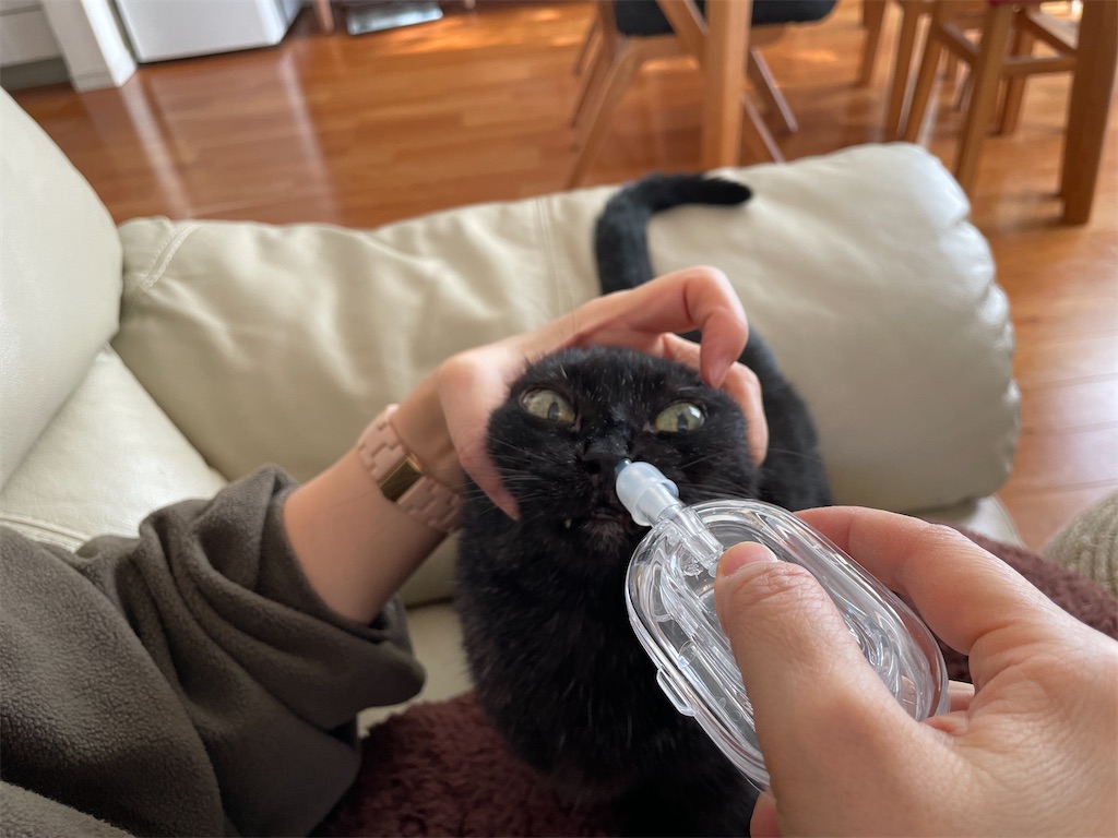 f:id:hiraryo0201:20241124192828j:image