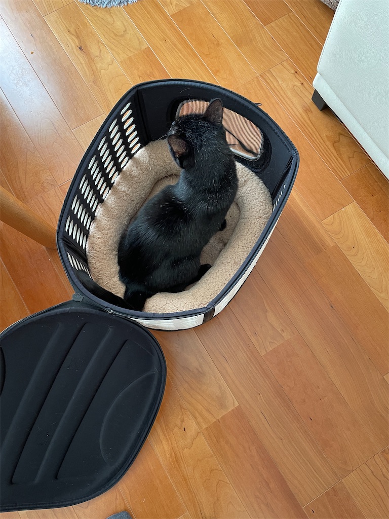 f:id:hiraryo0201:20241124192907j:image