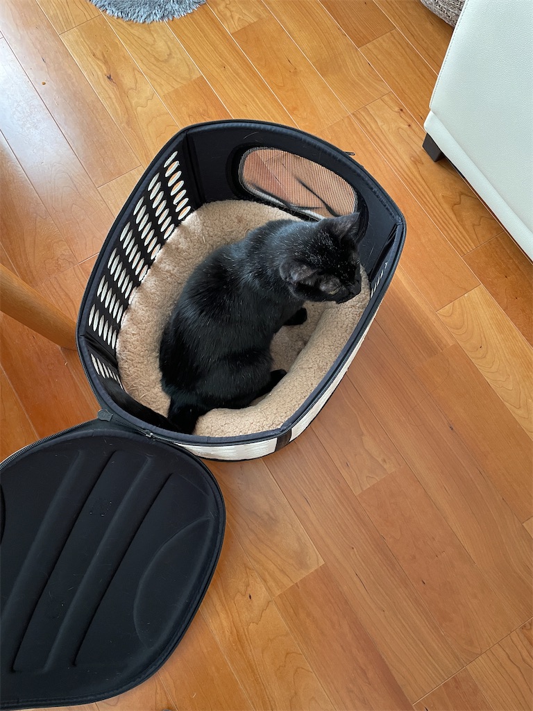 f:id:hiraryo0201:20241124192910j:image