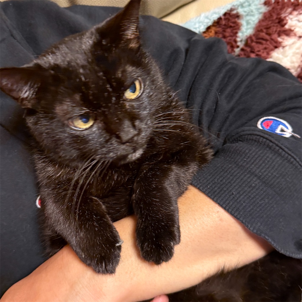 f:id:hiraryo0201:20250108124939j:image