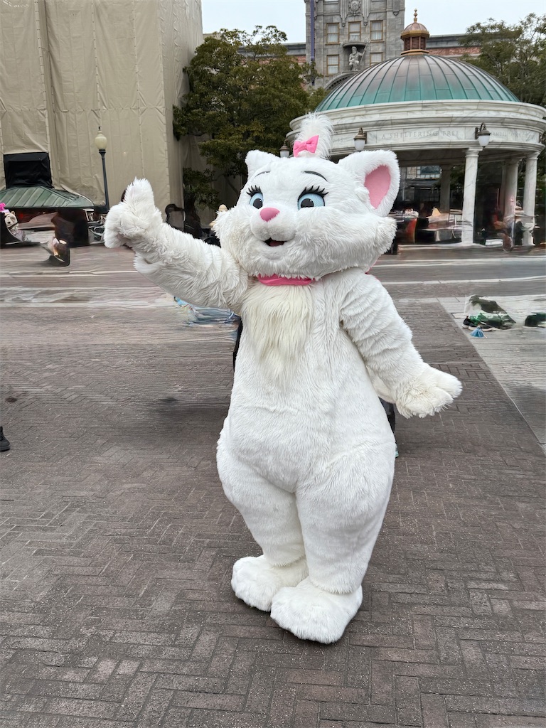 f:id:hiraryo0201:20250202081452j:image