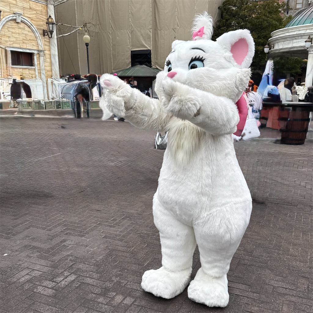 f:id:hiraryo0201:20250202081957j:image