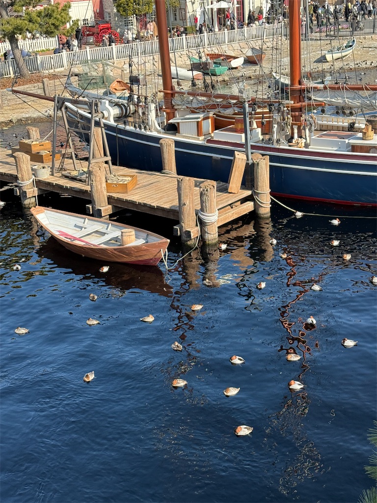 f:id:hiraryo0201:20250202082639j:image