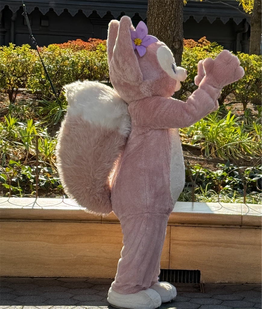 f:id:hiraryo0201:20250202214934j:image