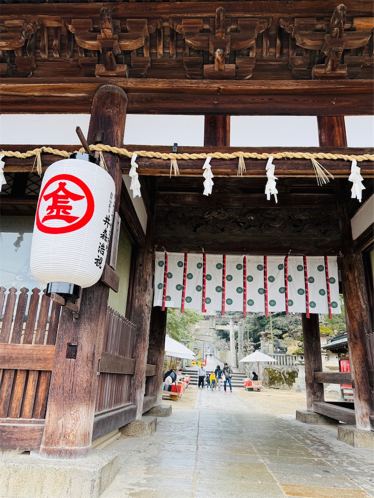 f:id:hiraryo0201:20250301214424j:image