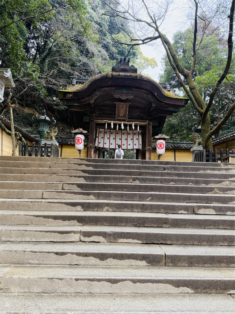 f:id:hiraryo0201:20250301214817j:image
