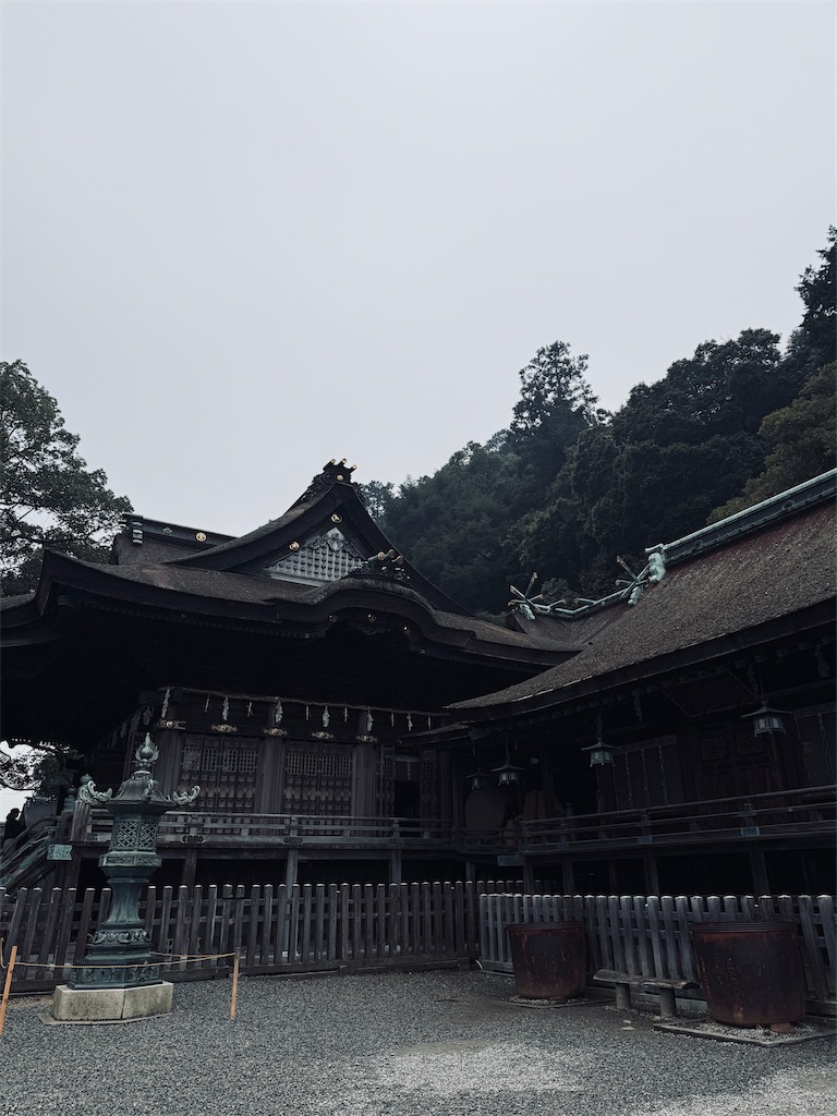 f:id:hiraryo0201:20250301215531j:image