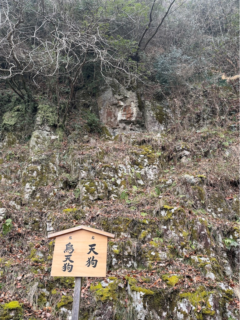 f:id:hiraryo0201:20250301215903j:image