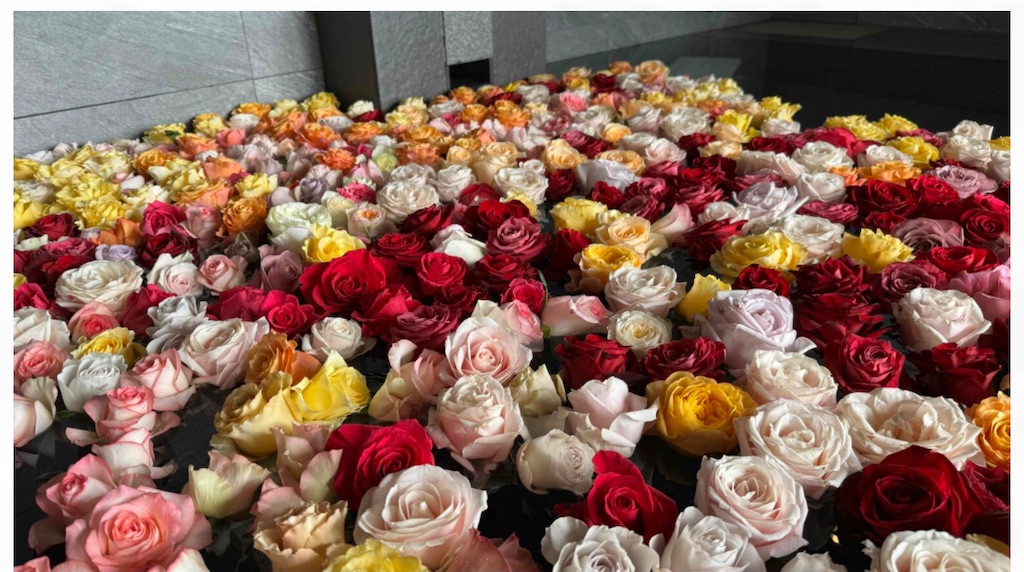 f:id:hiraryo0201:20250322083228j:image