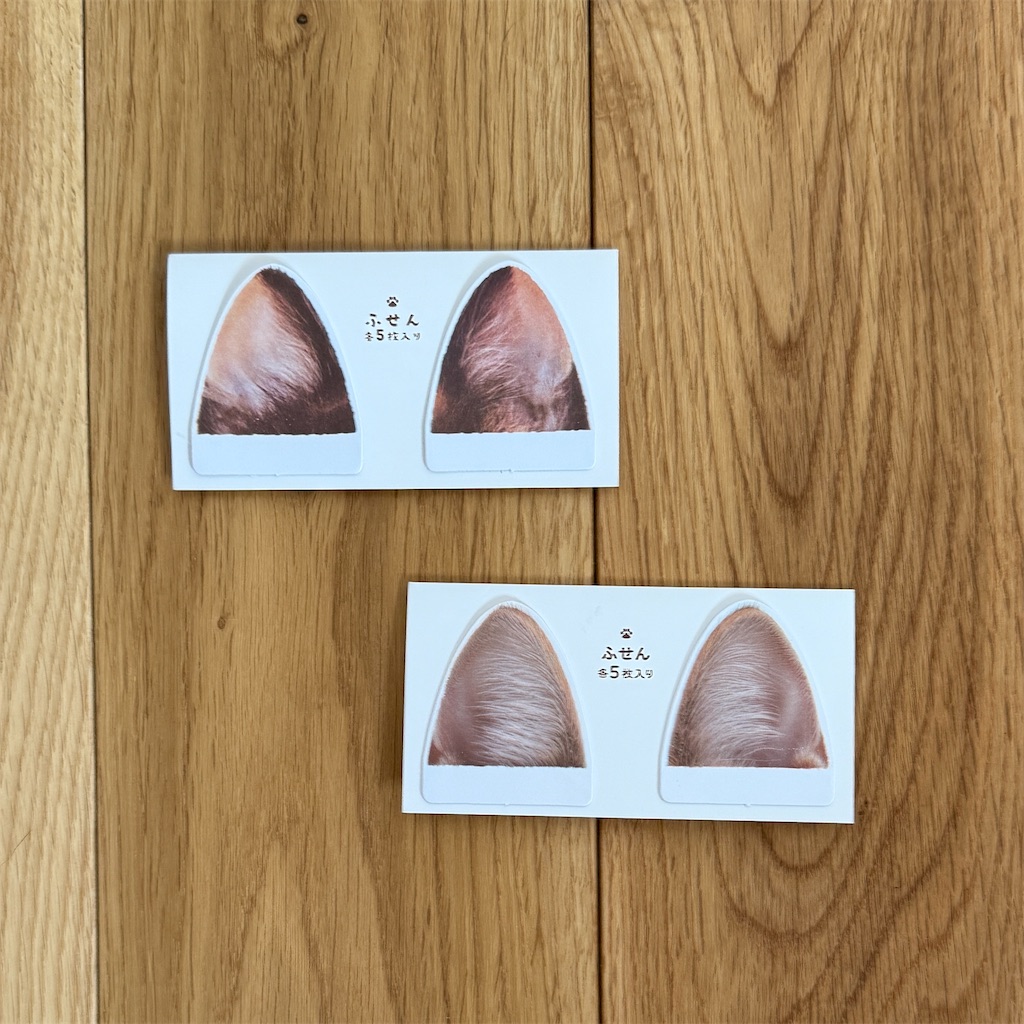 f:id:hiraryo0201:20250328205604j:image