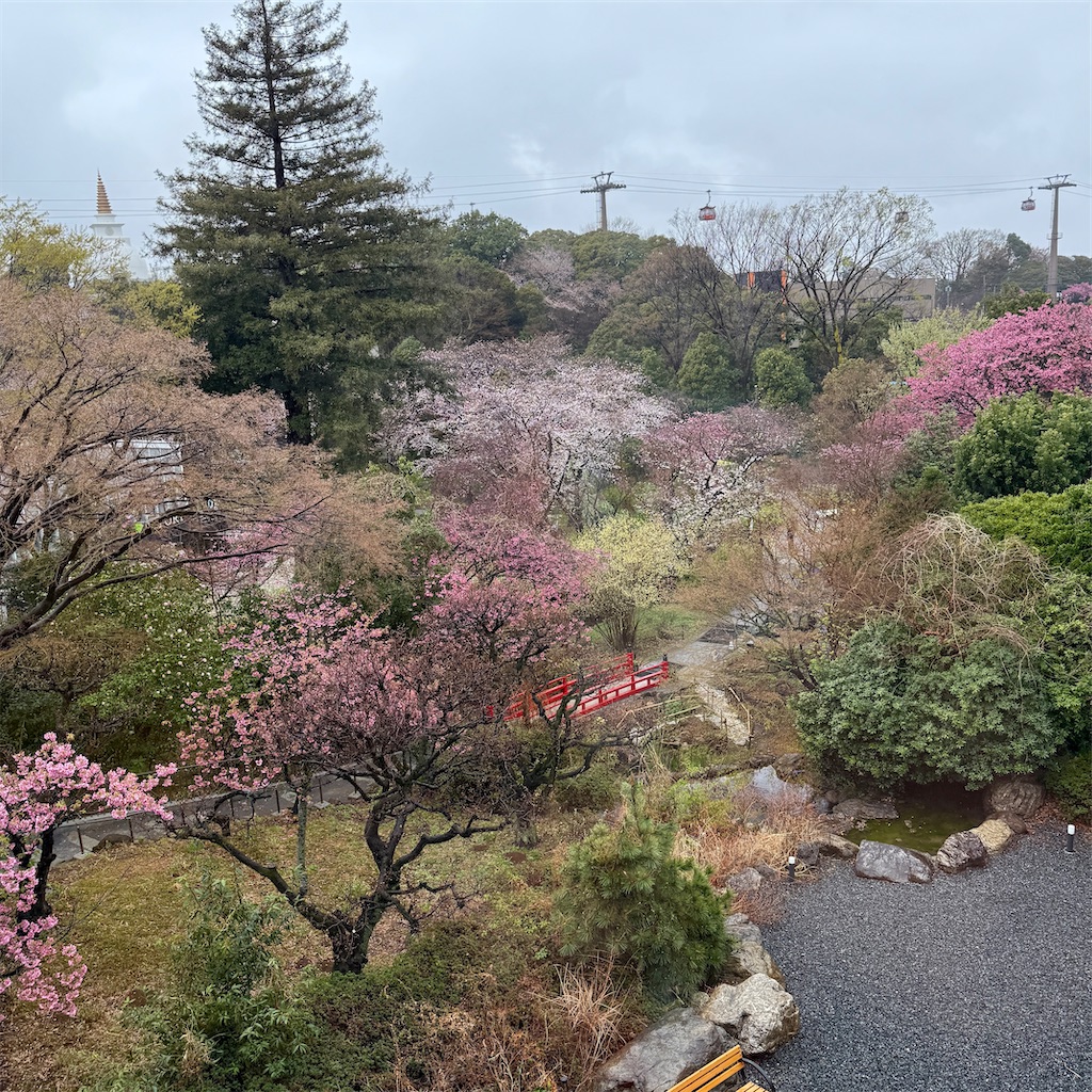 f:id:hiraryo0201:20250329213011j:image f:id:hiraryo0201:20250329213011j:image