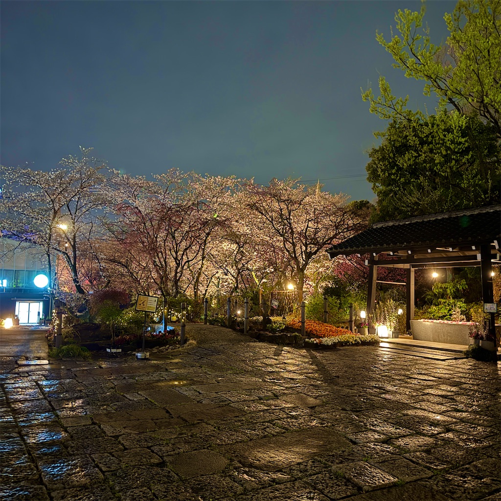 f:id:hiraryo0201:20250329213015j:image f:id:hiraryo0201:20250329213015j:image