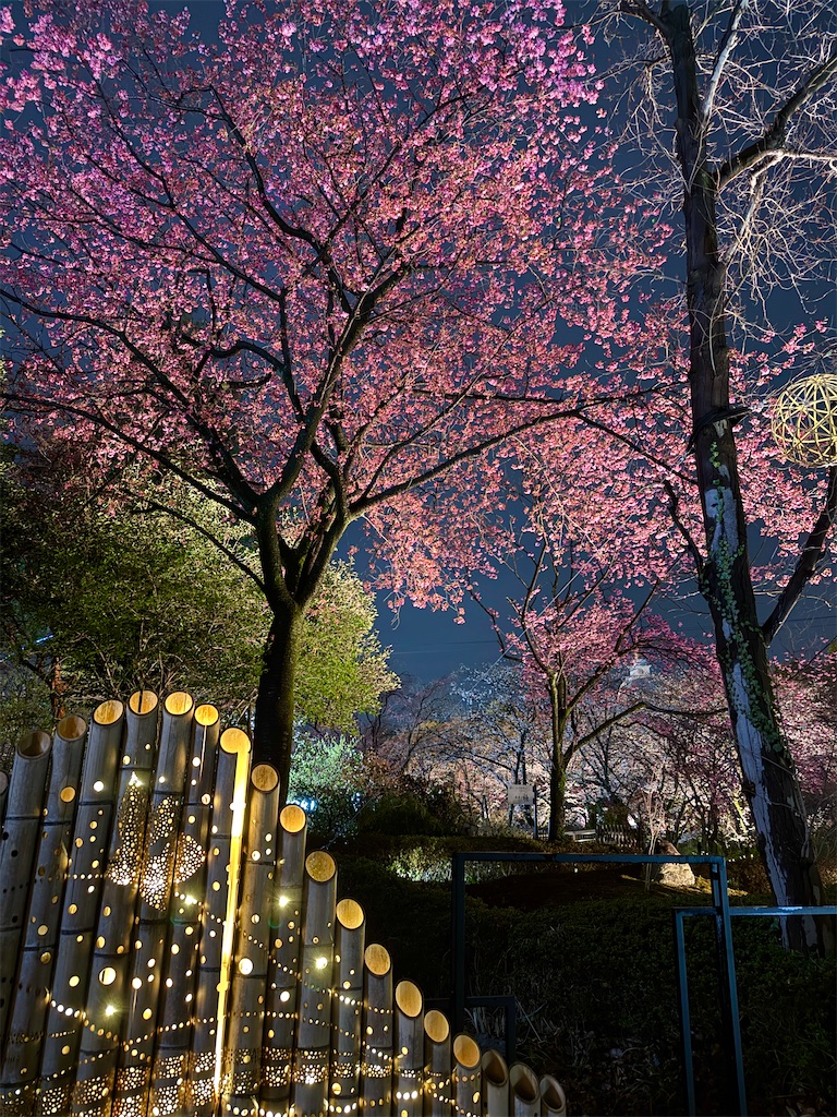 f:id:hiraryo0201:20250329213023j:image f:id:hiraryo0201:20250329213023j:image