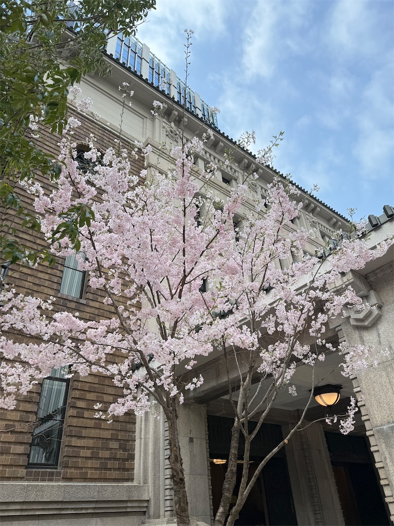 f:id:hiraryo0201:20250330115217j:image f:id:hiraryo0201:20250330115217j:image