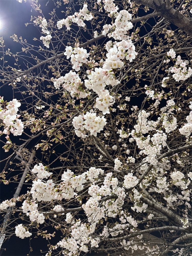 f:id:hiraryo0201:20250330115249j:image f:id:hiraryo0201:20250330115249j:image