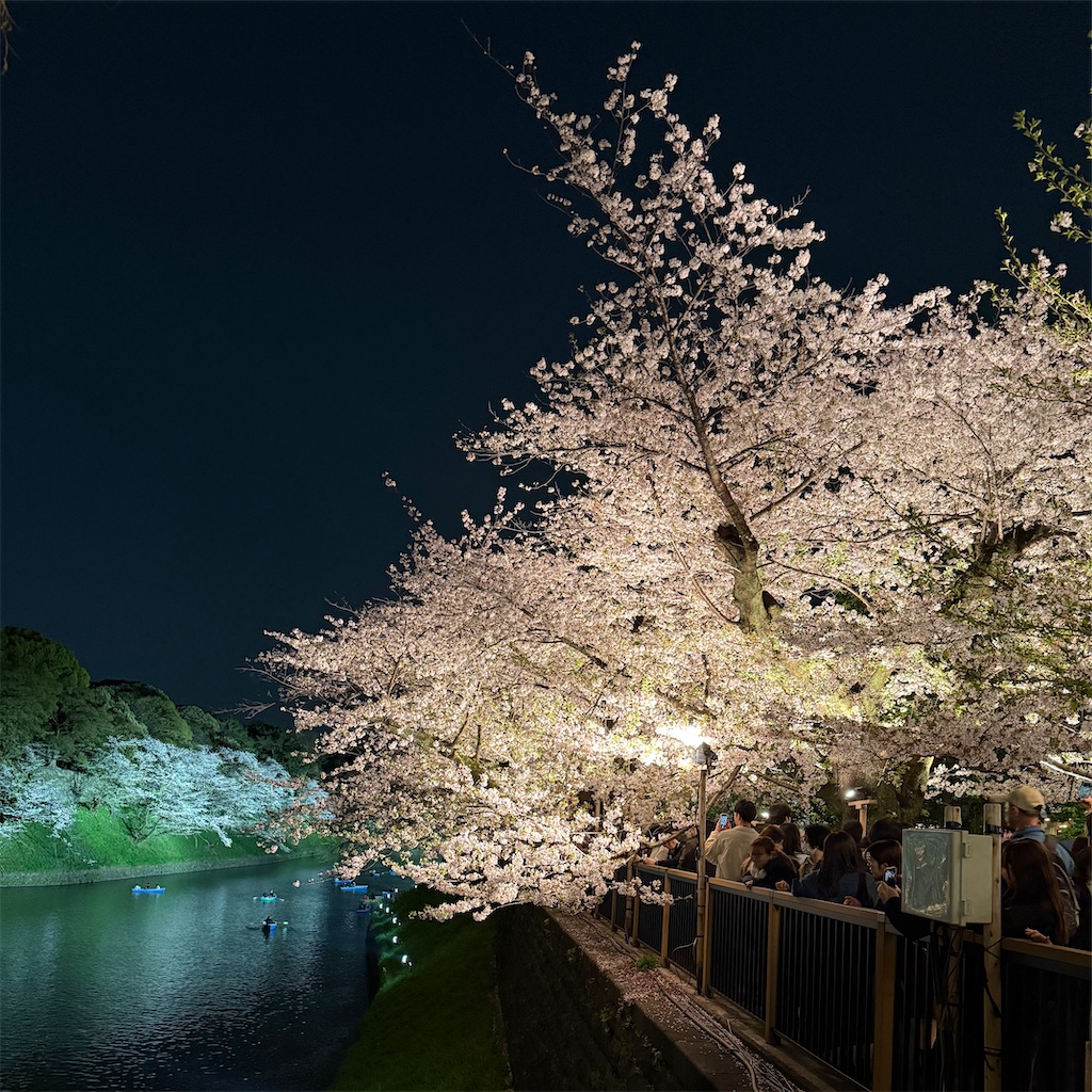 f:id:hiraryo0201:20250413201442j:image