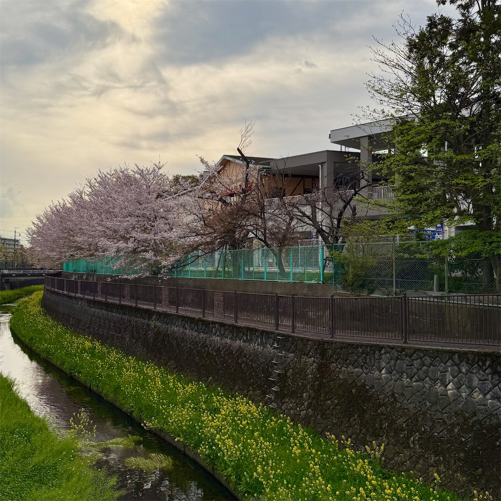 f:id:hiraryo0201:20250413201627j:image