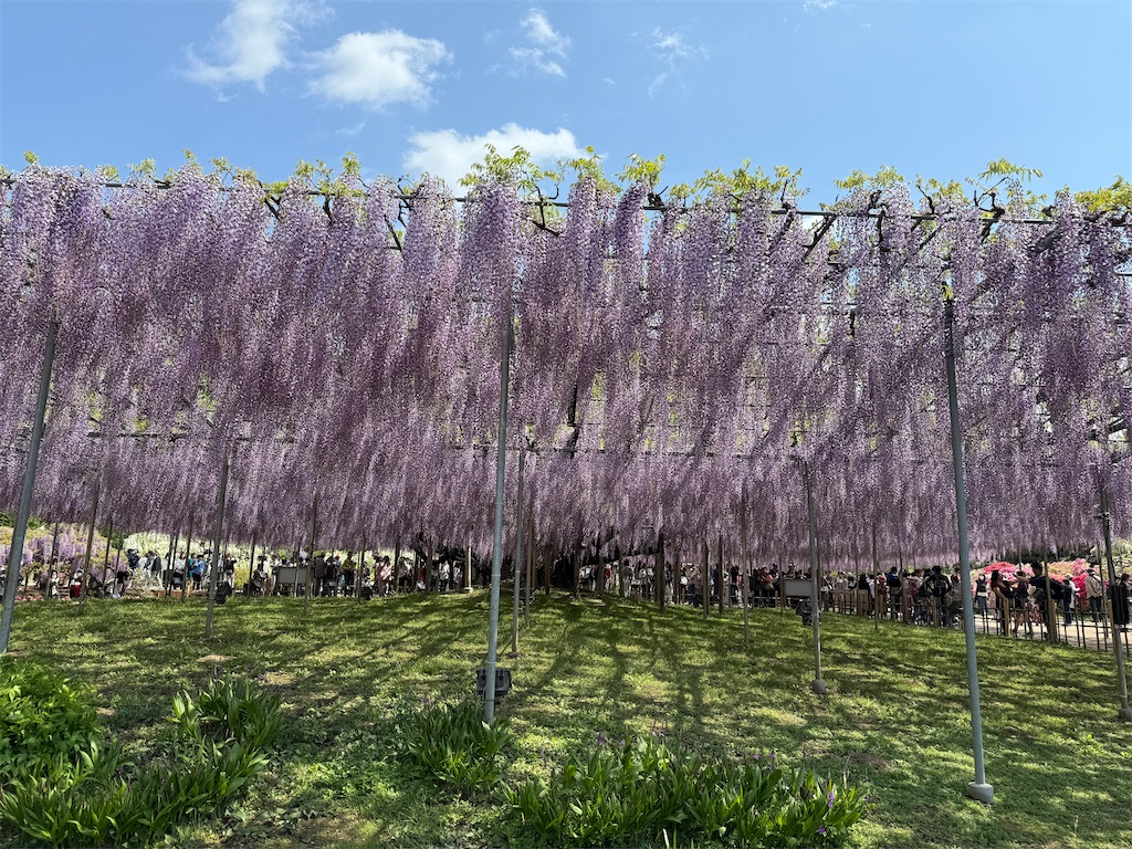 f:id:hiraryo0201:20250426160004j:image