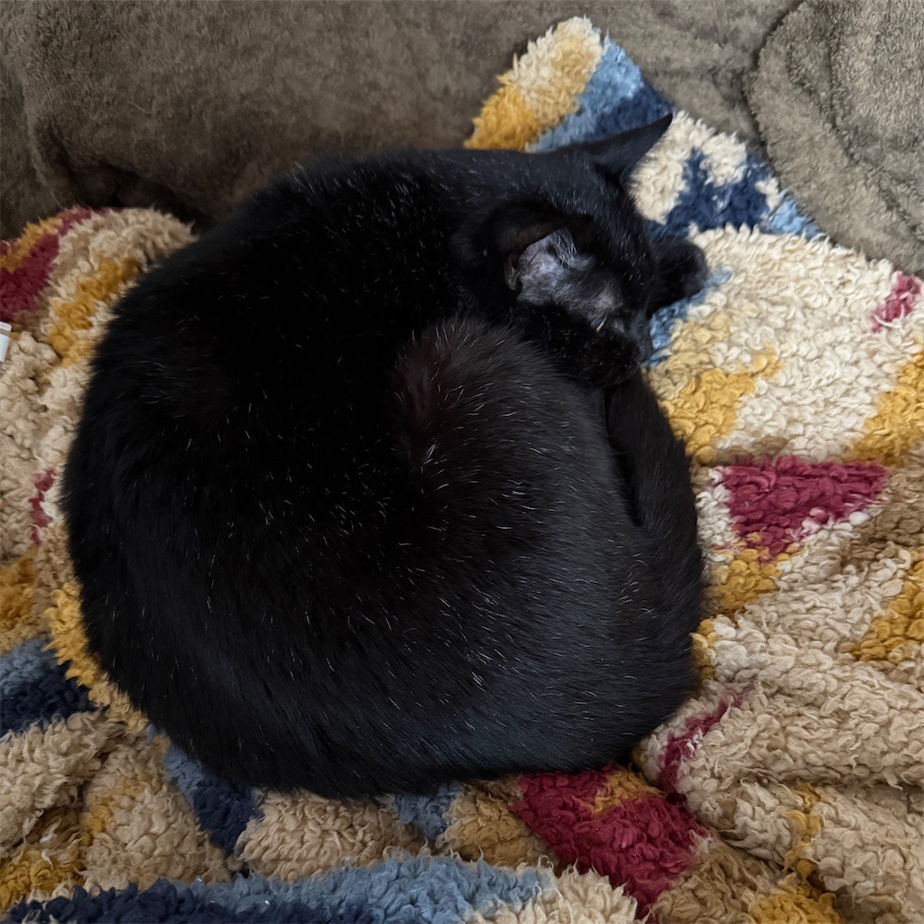 f:id:hiraryo0201:20250511075811j:image