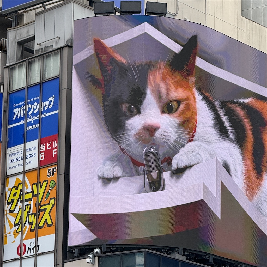 f:id:hiraryo0201:20250515172946j:image