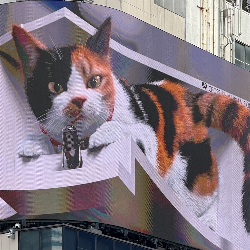 f:id:hiraryo0201:20250515172950j:image