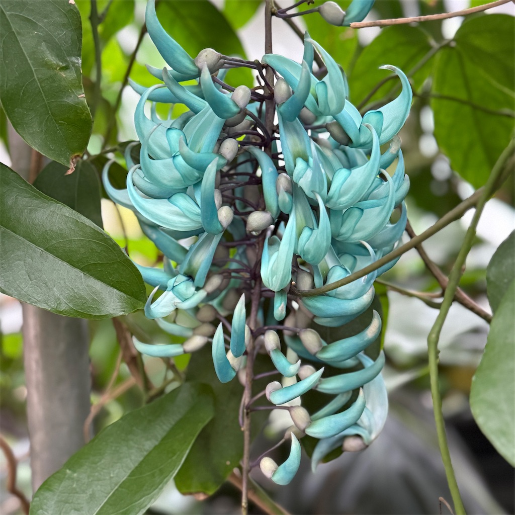 f:id:hiraryo0201:20250524230150j:image f:id:hiraryo0201:20250524230150j:image