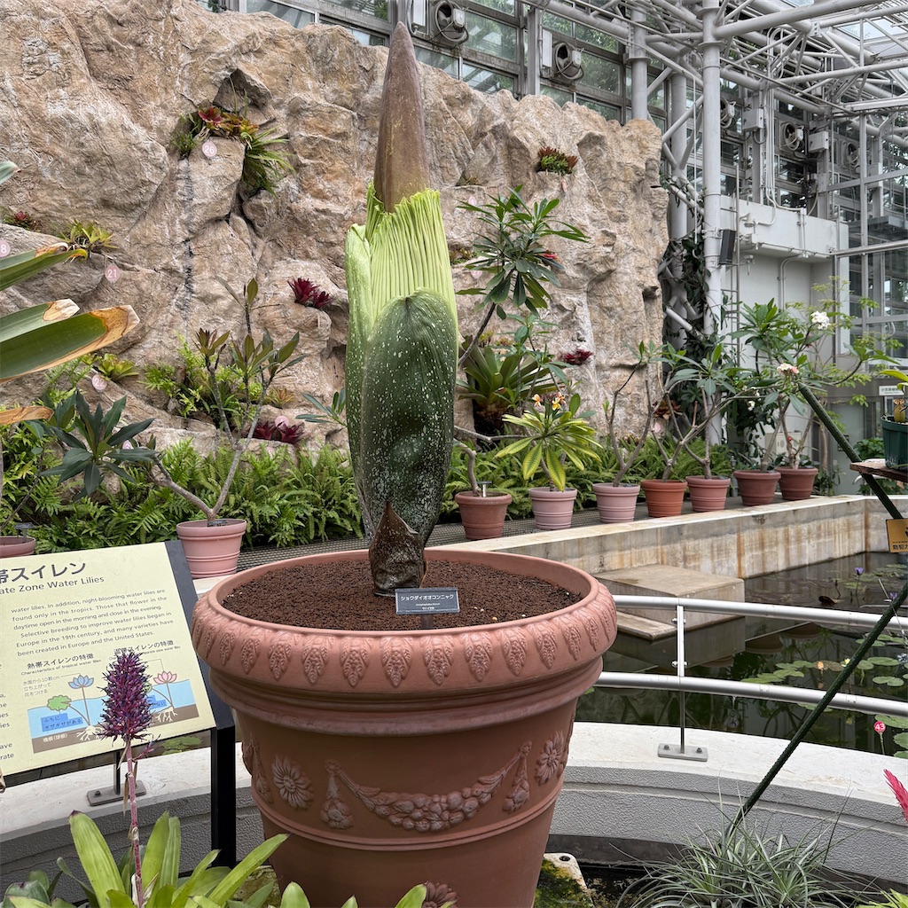 f:id:hiraryo0201:20250524230154j:image f:id:hiraryo0201:20250524230154j:image