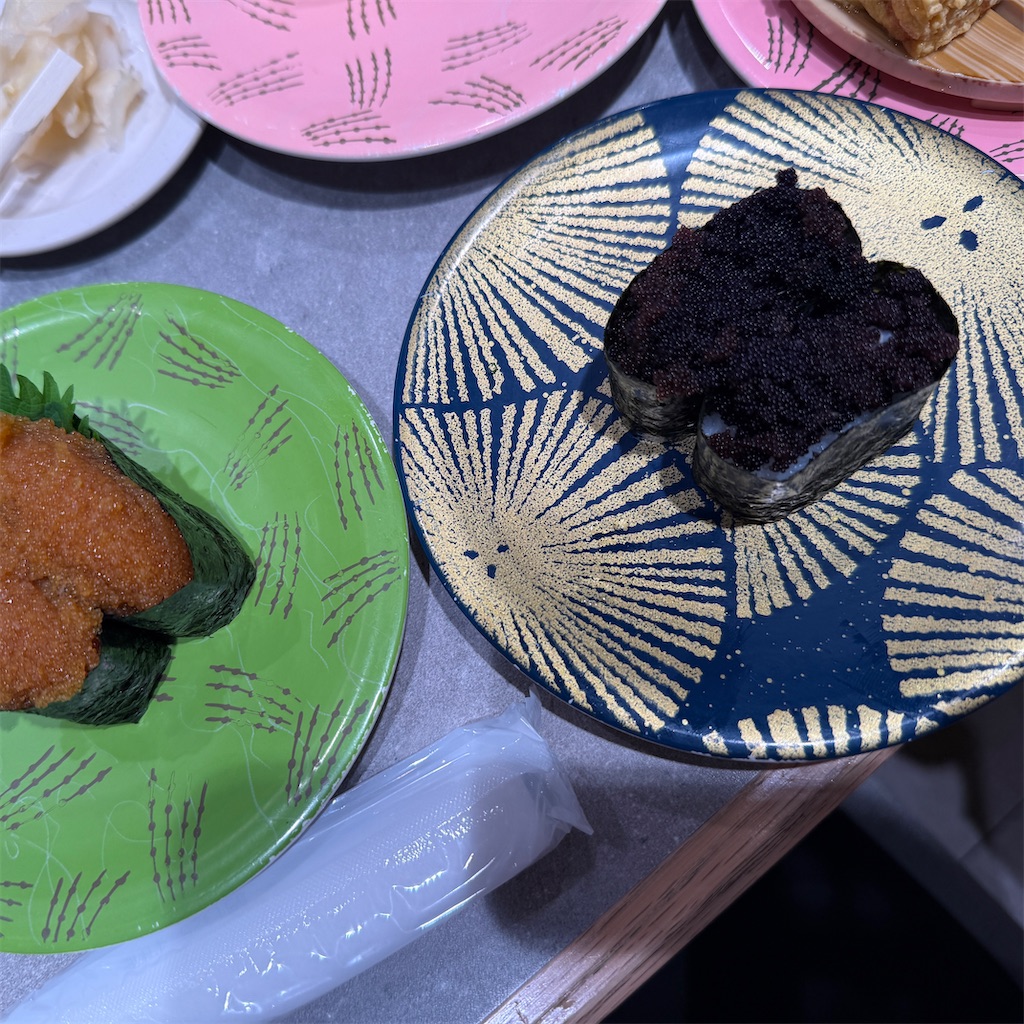 f:id:hiraryo0201:20250614201601j:image