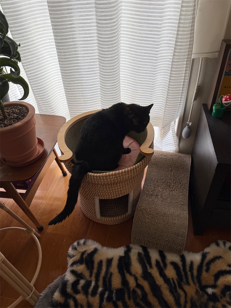 f:id:hiraryo0201:20250727161124j:image