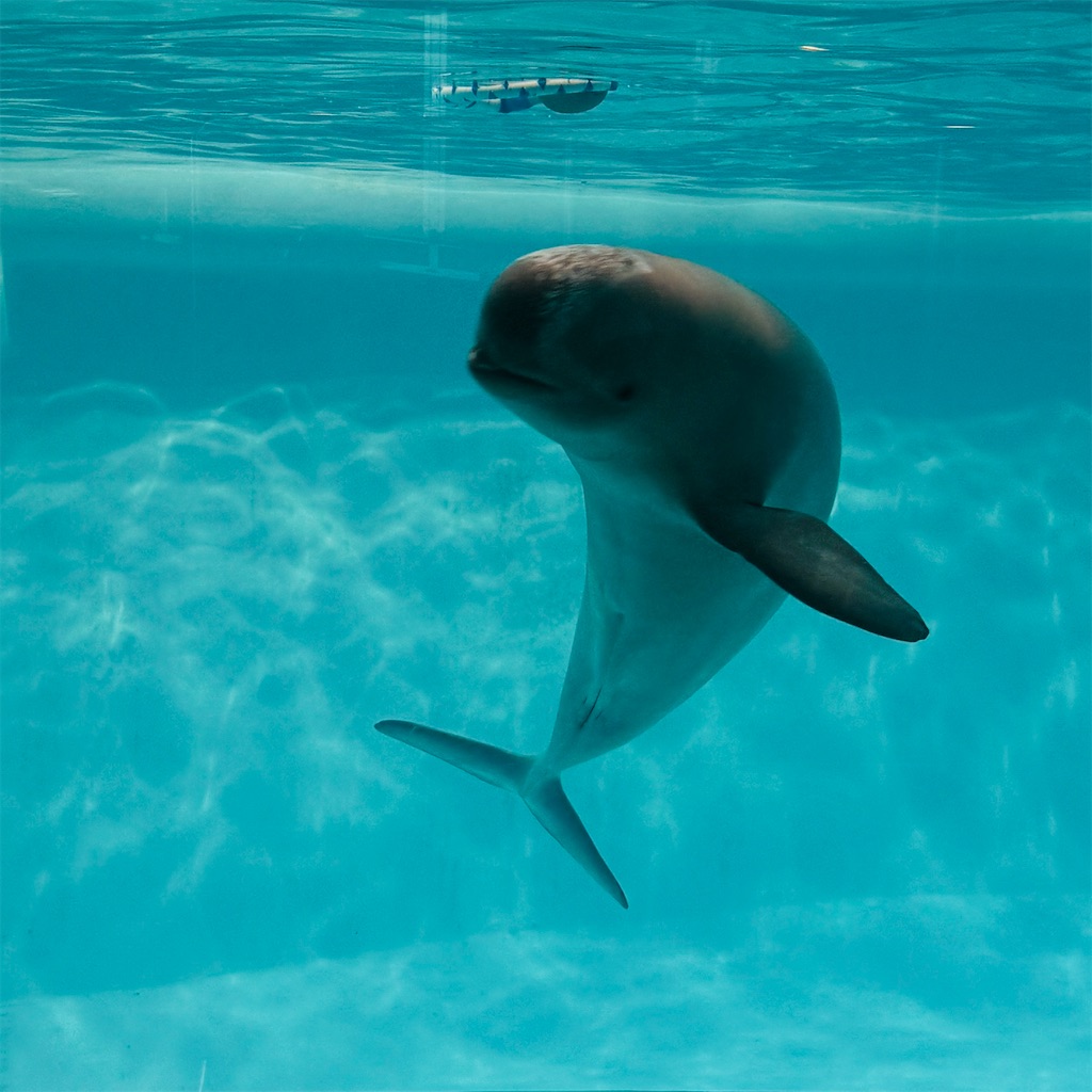 f:id:hiraryo0201:20250802163549j:image f:id:hiraryo0201:20250802163549j:image