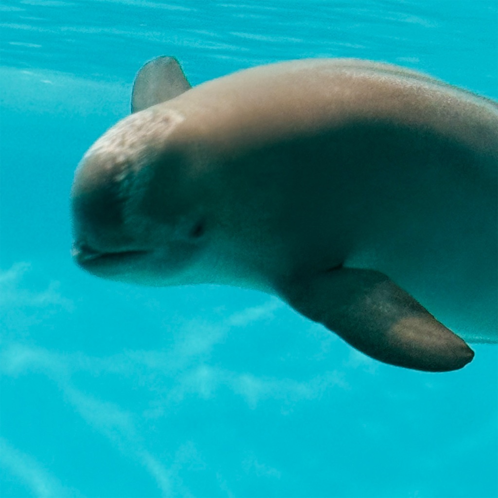 f:id:hiraryo0201:20250802163553j:image f:id:hiraryo0201:20250802163553j:image