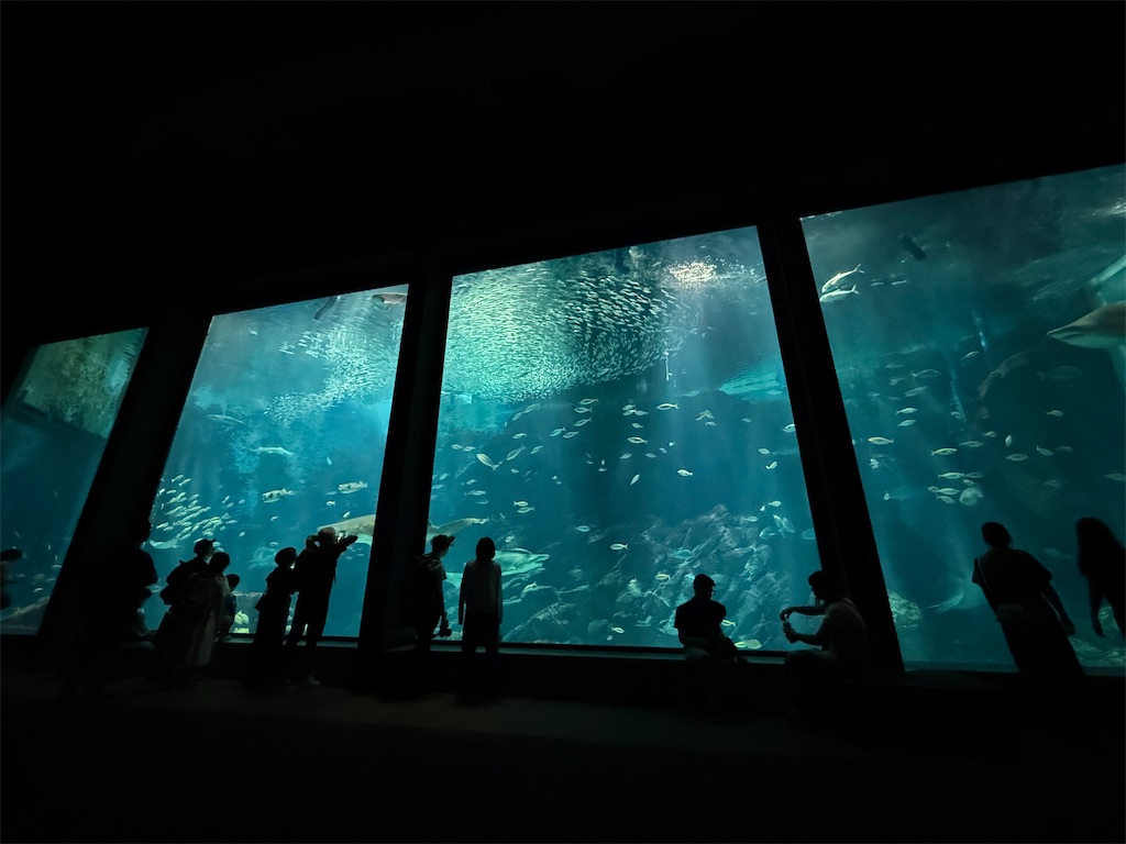 f:id:hiraryo0201:20250802163642j:image f:id:hiraryo0201:20250802163642j:image