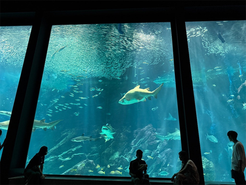 f:id:hiraryo0201:20250802163653j:image f:id:hiraryo0201:20250802163653j:image